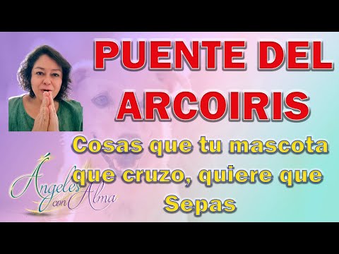 Cosas que tu mascota que cruzo el puente del arcoíris quiere que sepas