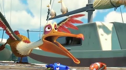 Finding Nemo - Seagull Chase Scene