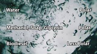 Biodiesel Masterclass: Making Biodiesel—Washing Your Biodiesel