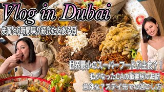 【DubaiVlog】世界最小スーパーフード料理/CAの職業病!?/ステイ先では…??