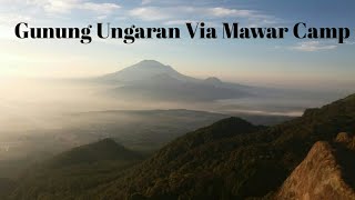 MENENGOK KEBAKARAN (Gunung Ungaran)