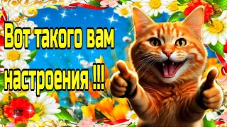 🌞🌼☕Самого доброго весеннего утра!💗Благословенного дня!💗Красивая музыкальная открытка🌼