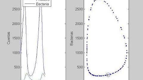 Estabilidad acotada en el plano de fase de un proceso biológico |  | UPV