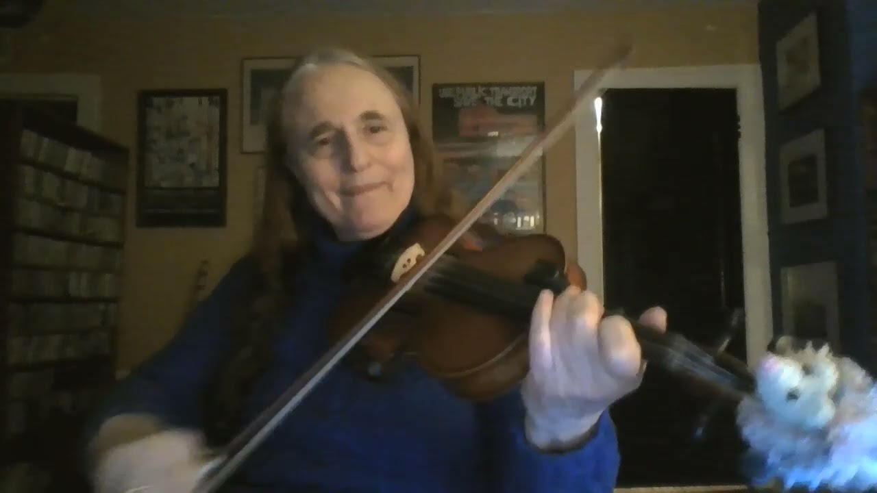 The Immigrant Hedgehog  (Old Time Fiddle Tune by Ulrike Brauneis)
