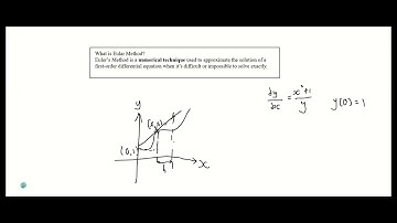 EM3 Euler Method Assignment 2505057F