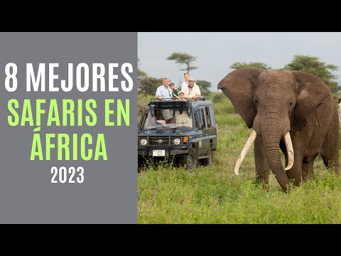 Video: Los 5 mejores destinos de safari sin conductor en el sur de África