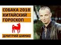 Гороскоп Собака -2018. Астротиполог, Нумеролог - Дмитрий Шимко