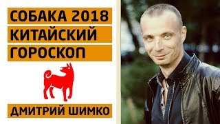 видео Восточный гороскоп на 2018 год для Собаки