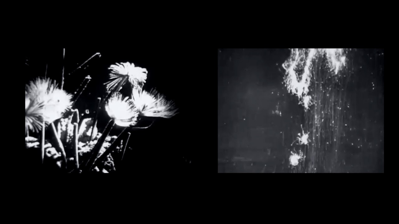 Deadfile - Rising Waters