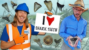 Fossielen zoeken met een paleontoloog | Haaientandenavontuur met @CharlestonFossilAdventures