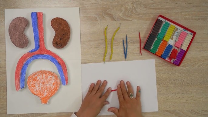 Pornografik stomatologlarning fotosuratlari