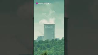 Unlocking the Power Within: The Dynamic Journey of Food Energy in the Human Body