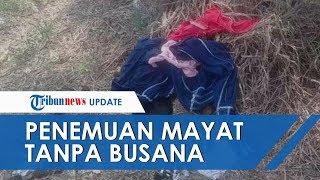 Mayat Wanita Tanpa Baju Ditemukan di Lahan Kosong di Sidoarjo, Dalam Kondisi Membusuk