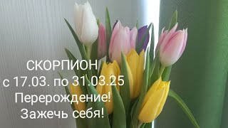 :   17  31  2025  .  !
