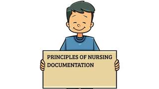 Principles of Nursing Documentation