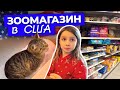 Кошачий шопинг | Как Penny адаптировалась | Житейский влог #20