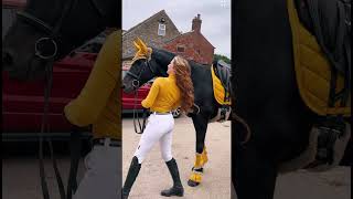 My Sweet One Eyed Wonder Pony