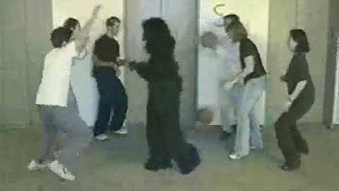 Behavioral Observation Video