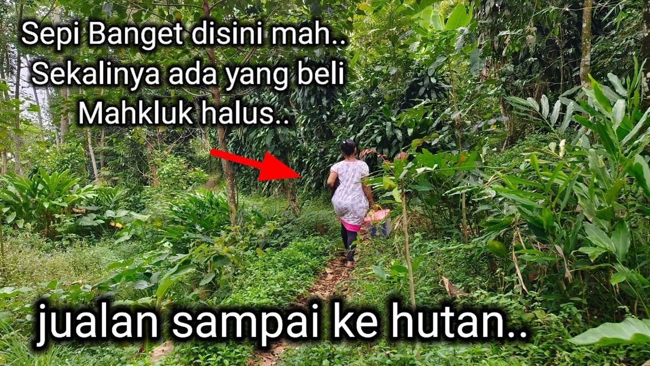 MUSTAHIL PERCAYA!! TAPI ORANG INI BERTAHAN HIDUP SELAMA 100 HARI DI HUTAN