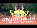 SENGKUNI LEDA LEDE (Koplo Version) - Lala Widy | Cintamu Sepahit Topi Miring (MV ANEKA SAFARI)