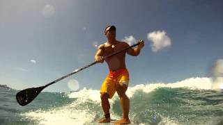 Sup Paradise 110422