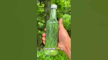 Thumbnail of minuman soda alami khas china‼️