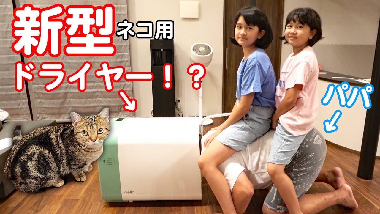 ルイモカ新居で初めてお風呂♪ペットドライヤーnelloで楽ちん乾燥♡himawari-CH