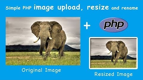 Live Image Upload, Crop, Rename and Resize using PHP