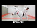 KOTEGAESHI Japanese Jujutsu