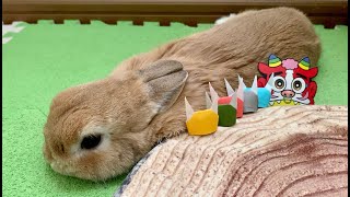 A rabbit celebrating the Setsubun festival with friends