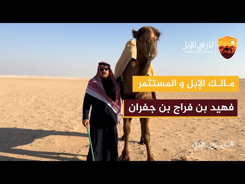لقاء مع مالك الإبل والمستثمر فهيد بن فراج بن جفران تاريخ الإبل