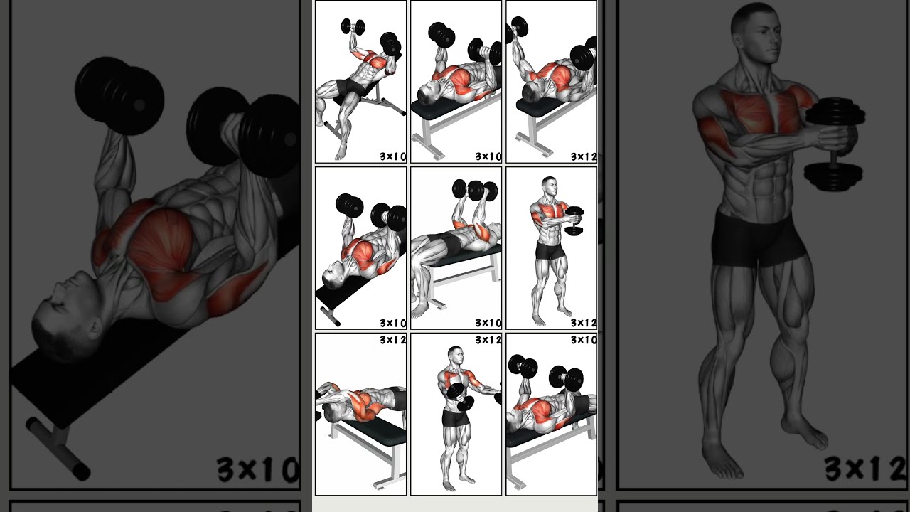 9 Powerfull Dumbbell Chest Workout To Transform Upper Body Chestworkout
