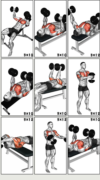 9 Powerfull Dumbbell Chest Workout to Transform Upper Body| #workout #chestworkout