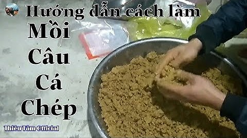 Hướng dẫn cách làm mồi câu lăng xê ( lancer ) cá chép sông | Mồi câu cá chép | Thiêu Tâm Official