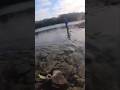 #fishing #angeln