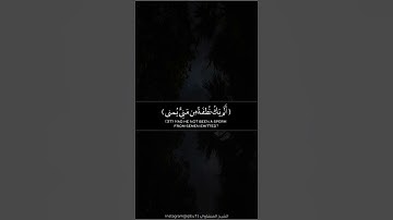 ﴿أَيَحسَبُ الإِنسانُ أَن يُترَكَ سُدًى﴾ | تلاوة خاشعة | الشيخ المنشاوي رحمه الله