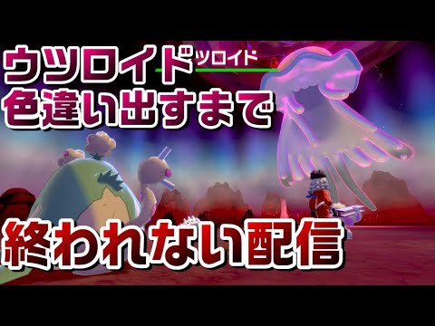 【ポケモン剣盾】参加型UB全部色違い計画第4弾 48～色違いウツロイド厳選 出すまで終われない配信 ダイマックスアドベンチャー【鎧の孤島】【冠の雪原】