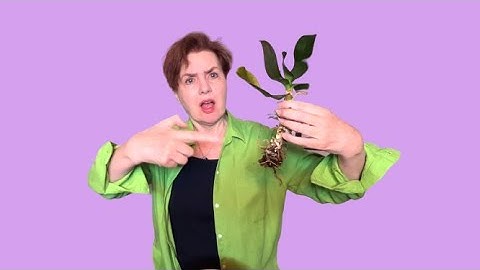 Why do I keep re-injuring my RSI?