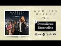 Gabriel keller  trio  5  poussires eternelles avec angelina pelluet