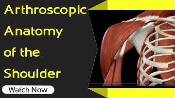 Arthroscopic Anatomy of the Shoulder | Orthopaedic Academy