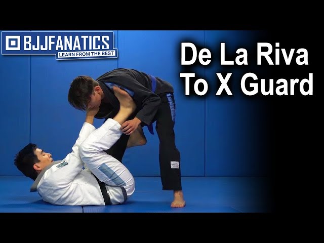 THE MASTERS GUARD 柔術 BJJ - ブルーレイ