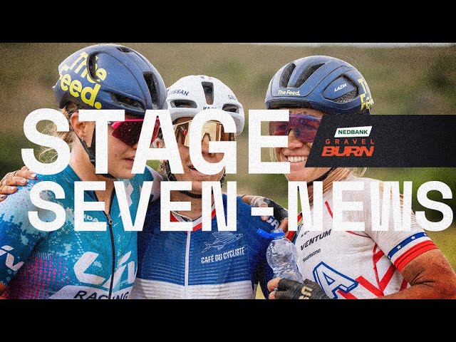 Stage 7 — Stage News