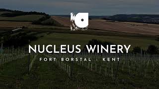 Nucleus Winery New English Vineyard In Kents Historic Fort Borstal