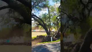 Rumbo a #Cerano #guanajuato #lavidadelcampo #lavidaderancho #vacaciones2023 #mexico