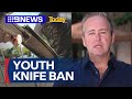 Anti-crime advocate on youth knife ban in Queensland | 9 News Australia