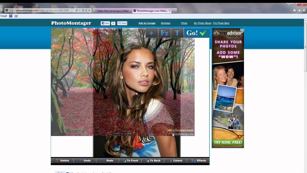 Software para hacer montajes fotograficos 70 Software para hacer montajes fotograficos 21