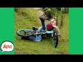 It's All DOWN-FAIL From HERE! 😂  | Funny Fails | AFV 2020