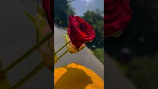 sad status sad song statusbhojpuri_status bhojpuri love status viral songsromantic status