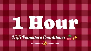 🍒 1 Hour Timer | 25/5 Pomodoro🩷 Cherry Red Gingham Print Pomodoro 💌 Aesthetic Study With Me Timer ❤️