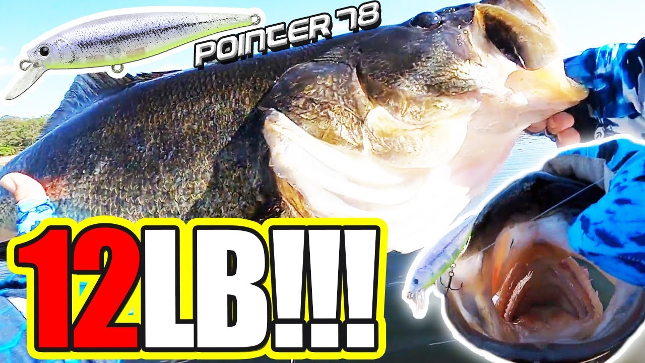Pointer 78 Catches 12LB Bass in Florida